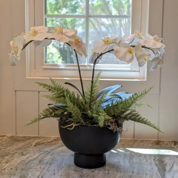 Permanent White Orchid Arrangement Permanent White Orchid Arrangement