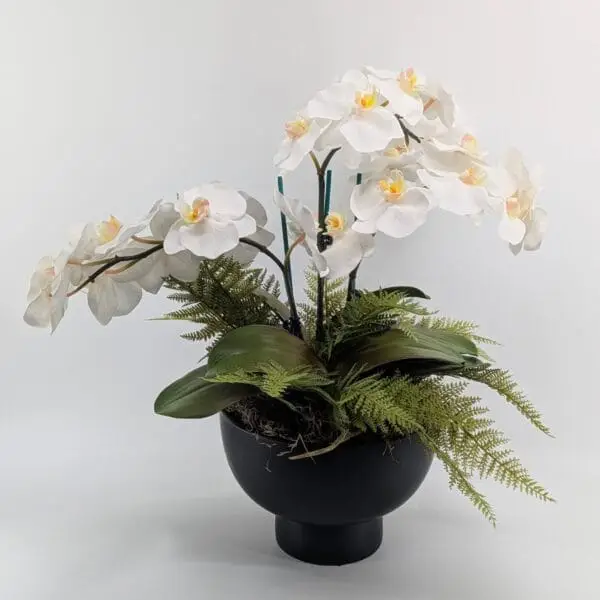 Orchid Arrangement in Matte Black Pedestal Vase