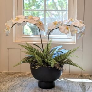 Orchid Noir - White Orchid Arrangement